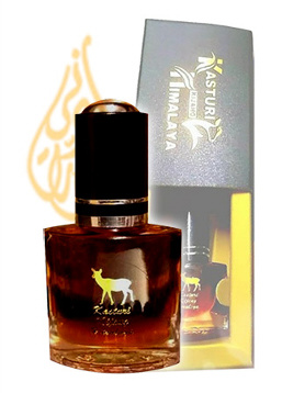 Kasturi Kijang Himalaya Hitam